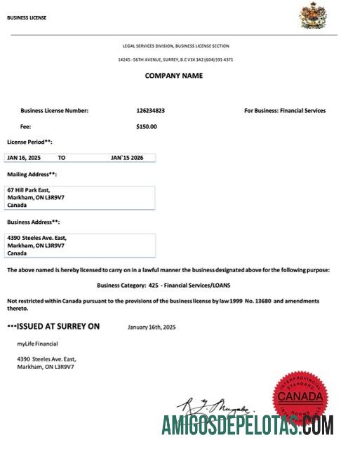 Licença comercial do Canadá em branco, modelo Word e PDF